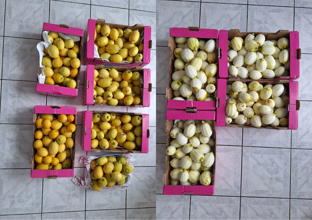 Design sans titre (4).webp